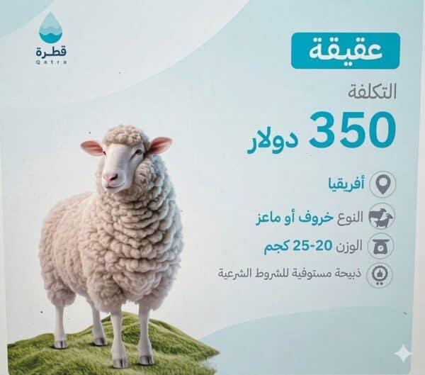 العقيقة